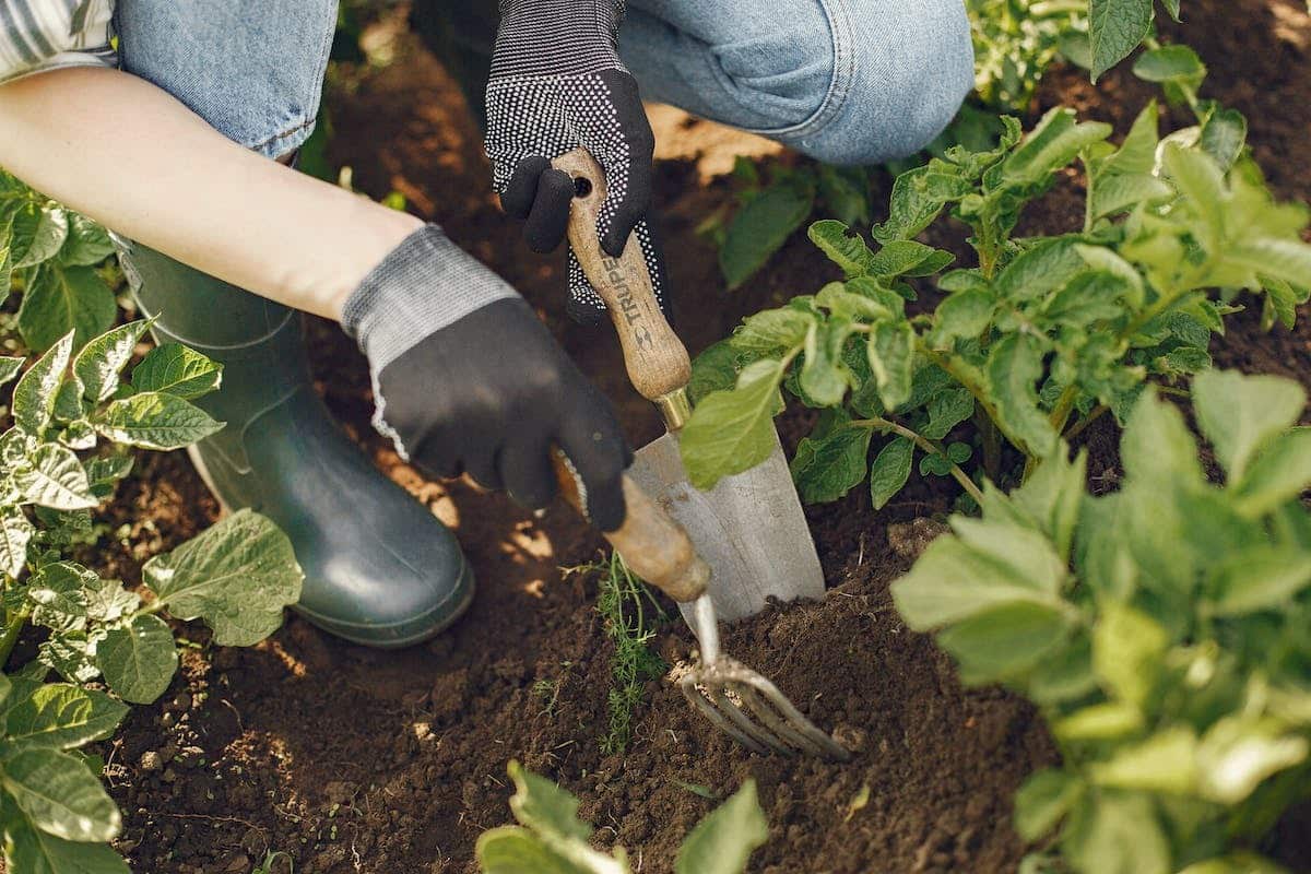 outil potager