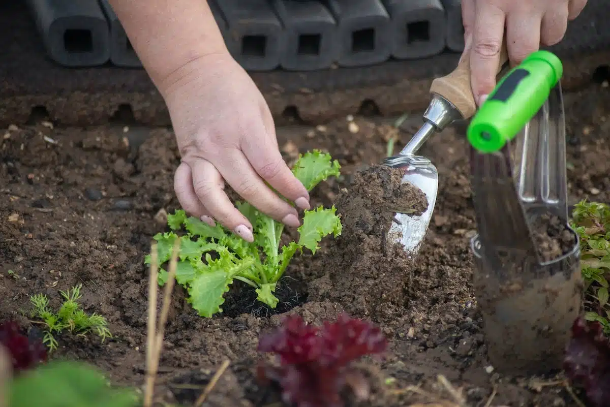 potager  outils