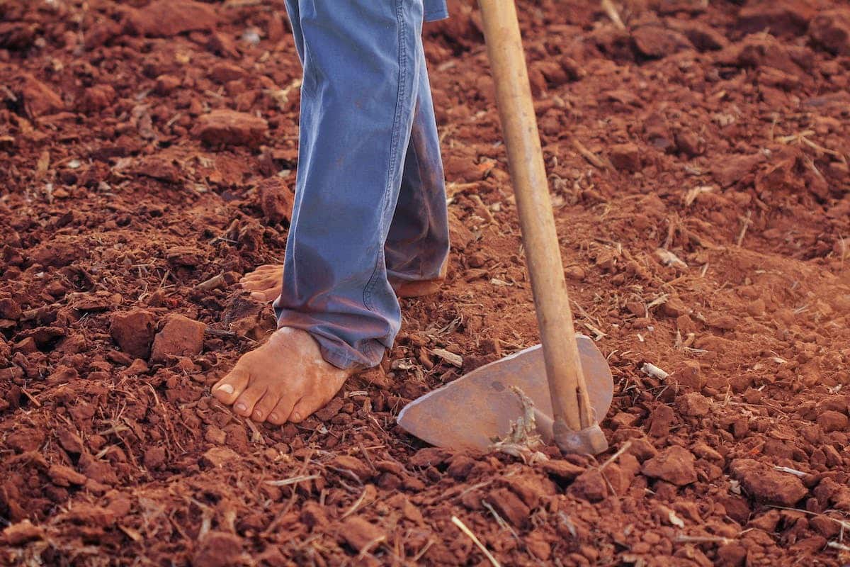 potager  compost