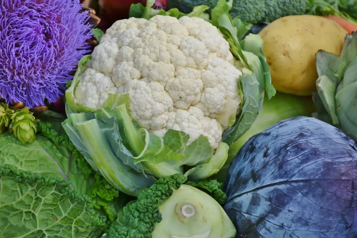 potager  automne