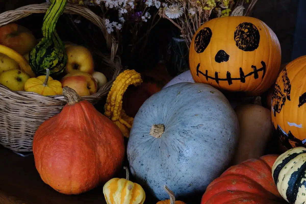 légumes automne