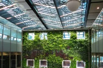 Mur végétal luxuriant offrant une solution acoustique naturelle au jardin