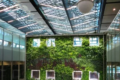 Mur végétal luxuriant offrant une solution acoustique naturelle au jardin