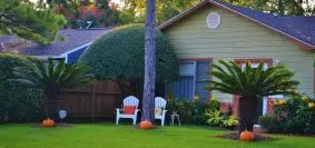 jardin d'une maison avec un palmier et une pelouse et des accessoires de jardin.