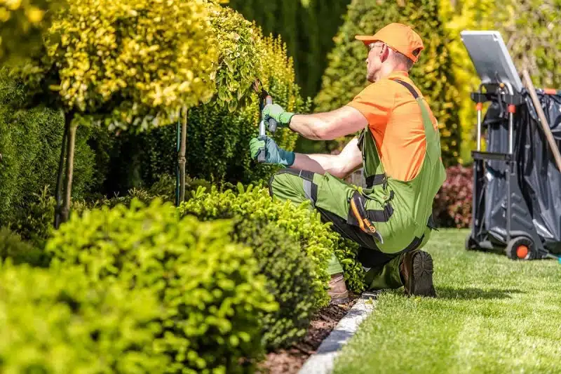 À qui faire appel pour aménager votre extérieur ?