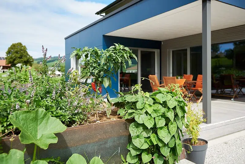 L’écologie et de la biodiversité à la maison comme au jardin