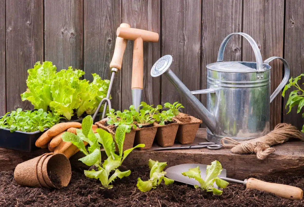 Les 20 outils indispensables pour entretenir votre jardin