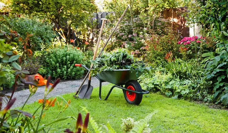 Les 20 outils indispensables pour entretenir votre jardin
