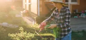 Les alternatives santés dans son jardin