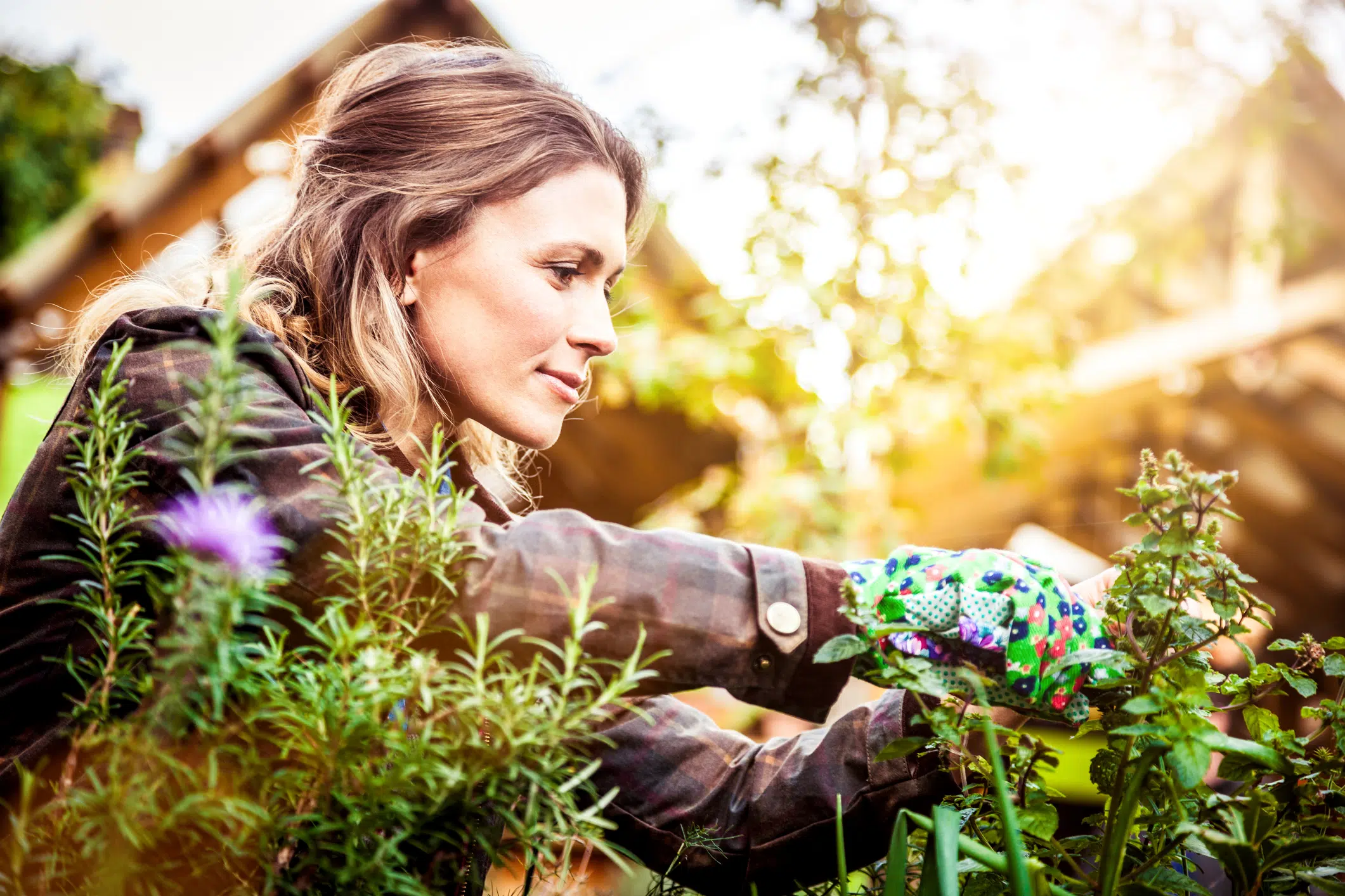 alternatives santés dans son jardin