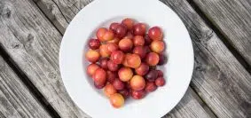 Où acheter des mirabelles de qualité pour cuisiner ?