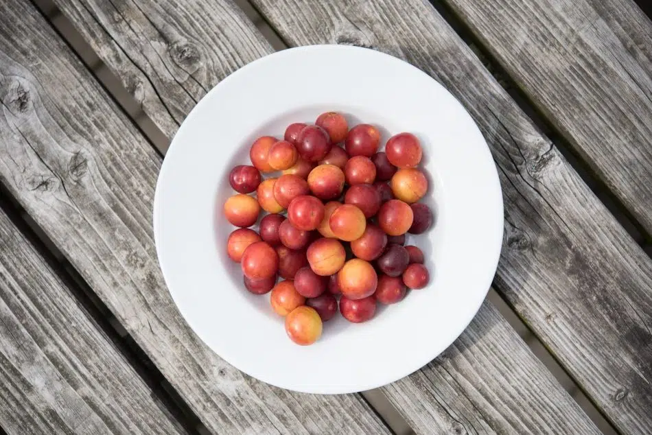 Où acheter des mirabelles de qualité pour cuisiner ?