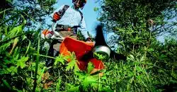 Comment contacter une entreprise de jardinage ?