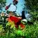 Comment contacter une entreprise de jardinage ?