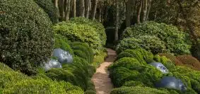 green plants on brown brick pathway