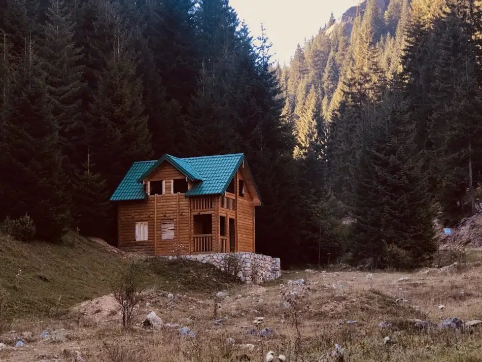 La maison bois : Une solution pour décarboner le secteur de la construction