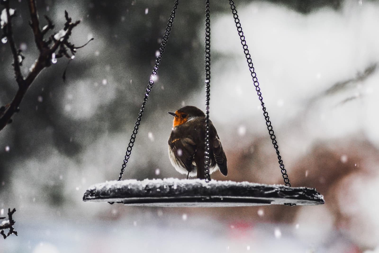 Comment bien aménager son jardin en hiver ?