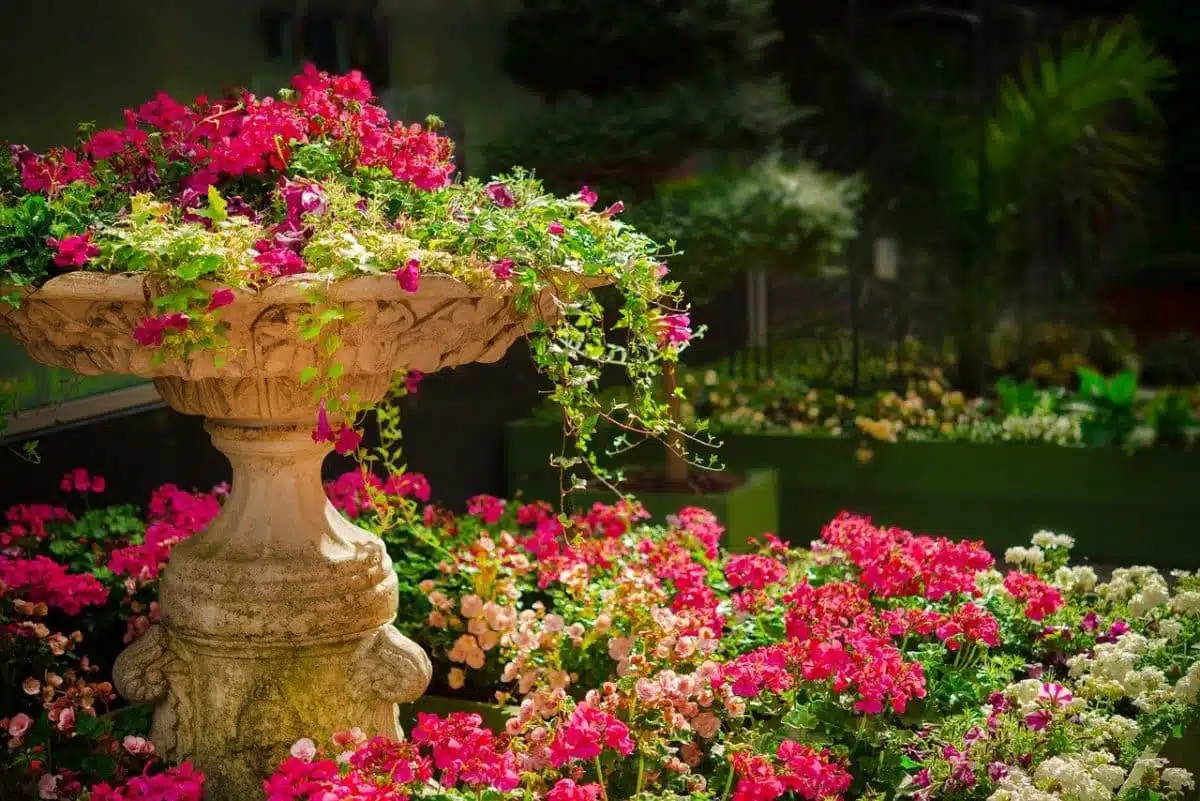 fleurs