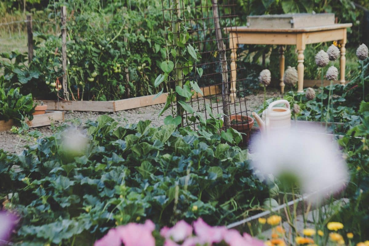 bordure de jardin