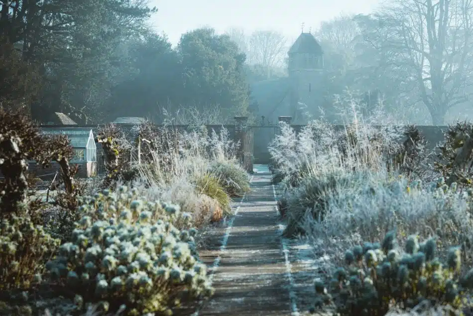 Comment bien aménager son jardin en hiver ?